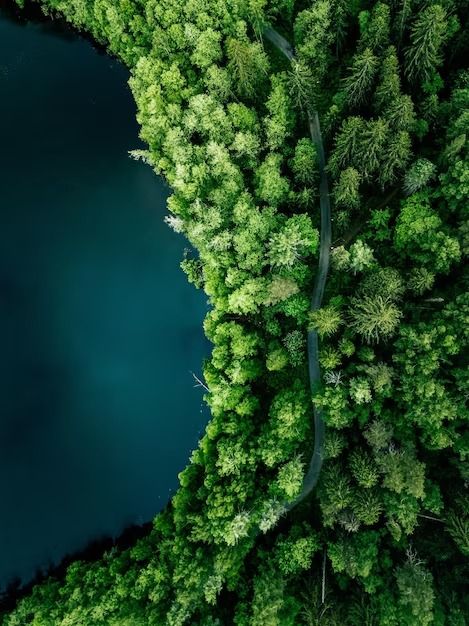 Premium Photo | Photo aerial top view of country road in green summer forest and blue lake rural landscape in finland drone photography from above Aerial Views Landscape, Summer Forest, Aerial Photography Drone, Lake Landscape, Drone Photos, Salou, Blue Lake, Rural Landscape, Drone Photography