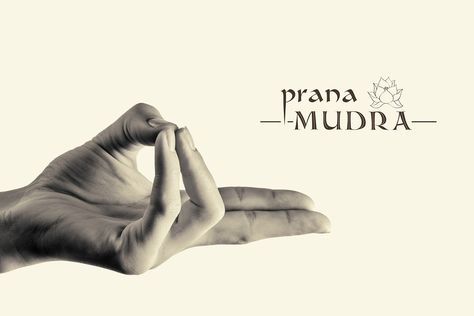 Prana Mudra : A Step by Step Guide, Benefits & Precaution Surya Mudra, Vayu Mudra, Prana Mudra, Prithvi Mudra, Flying Lotus, Gyan Mudra, Hand Mudras, Yoga Hands, Basic Yoga