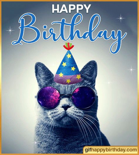 Happy Birthday Cat Gif, Happy Birthday Cat Images, Dog Birthday Wishes, Congrats Wishes, Cat Birthday Wishes, Cute Happy Birthday Wishes, Happy Birthday Funny Cats, Funny Happy Birthday Images, Birthday Wishes Gif