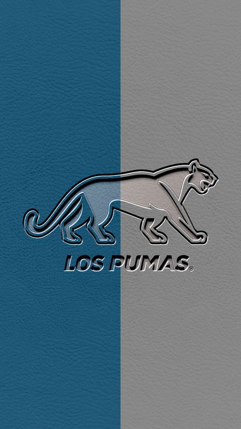 Título: Unión Argentina de Rugby - Selección de Rugby - América del Sur Tamaño: 720x1280px Diseño: Grabados - Doble Colores [ES]► 💬 Cualquier cosa si te gusta, podes escribir en mis redes o WhatsApp y te diseño el tuyo. Sólo en ARGENTINA. [EN]► 💬 Anything if you like, you can write on my networks or WhatsApp and I will design yours. Only in ARGENTINA. Rugby Wallpaper, Argentina Rugby, If You, You Can, Rugby, Pixel Art, Aura, Like You, Wallpapers