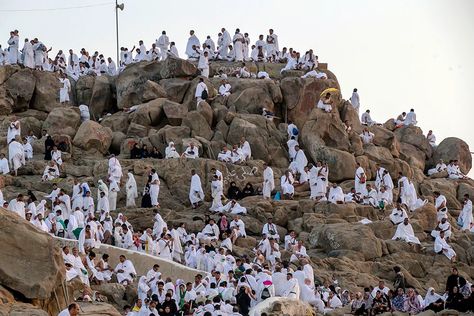 (RNS) — Less than a month before the pilgrimage to Mecca was to begin, the Saudis changed the rules. Pilgrimage To Mecca, Hajj Pilgrimage, Pillars Of Islam, Rocky Hill, Sleeping Under The Stars, Grand Mosque, Travel Packages, Jeddah, Mecca