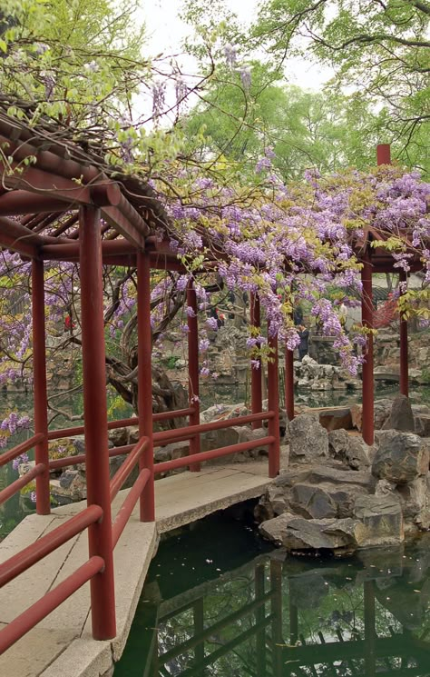 Taman Air, Suzhou China, Asian Architecture, Meteor Garden 2018, Chinese Garden, Suzhou, Japanese House, Nature Aesthetic, Pretty Places