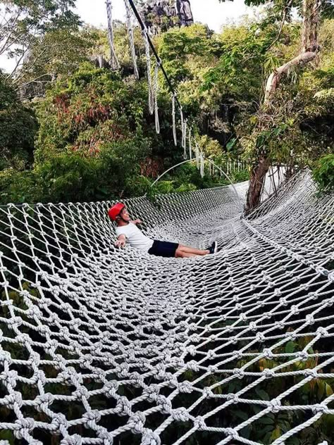 Masungi Georeserve, Philippines. Masungi Georeserve, Garden Aquarium, Tree Hammock, Cool Playgrounds, Urban Playground, Kids Backyard Playground, Travel Philippines, Fairy House Crafts, Cool Tree Houses