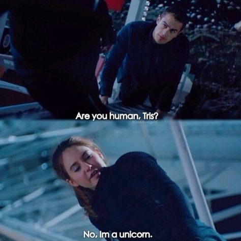 See.. THIS.. THIS is what she should have said. Come on, Veronica. Get with the program, girl! XD Divergent, A Unicorn, In Love, Human, Memes, Frame, Red