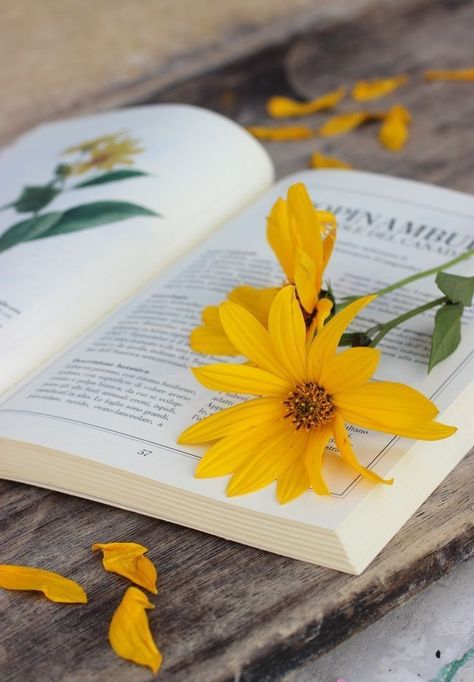 Yellow Aesthetic Pastel, An Open Book, Bookstagram Inspiration, Book Flowers, Sunflower Wallpaper, Yellow Wallpaper, Foto Art, Yellow Aesthetic, Coffee And Books