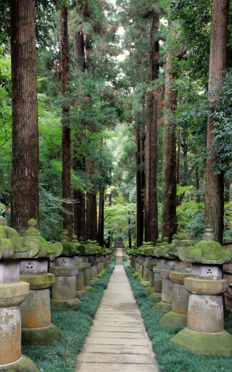 todayintokyo: Heirin-ji, Niiza, Saitama Background Reference, Saitama Prefecture, Saitama Japan, Japan Landscape, Japanese Lanterns, Nagano, Saitama, Zen Garden, Japanese Garden