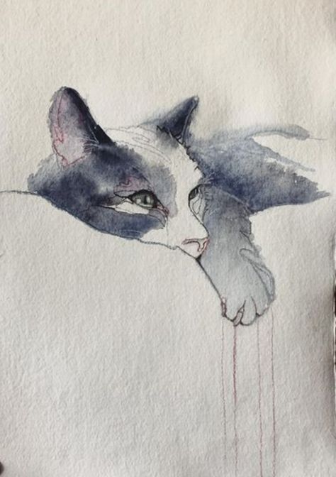 Cats Sketch, Watercolour Cat, Cat Art Illustration, Cat Sketch, Watercolor Painting Techniques, Cat Artwork, 수채화 그림, Watercolor Cat, Cats Illustration