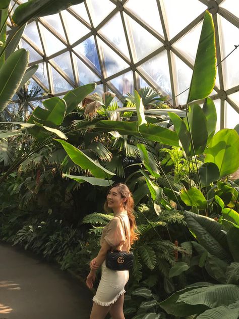 Asian girl in a botanical garden Brisbane Botanical Gardens, Greenhouse Instagram Pictures, Botanical Garden Poses, Photoshoot Botanical Garden, Botanic Garden Photoshoot, Botanical Garden Photoshoot Ideas, Botanical Garden Outfit, Botanical Garden Photo Shoot, Greenhouse Glass