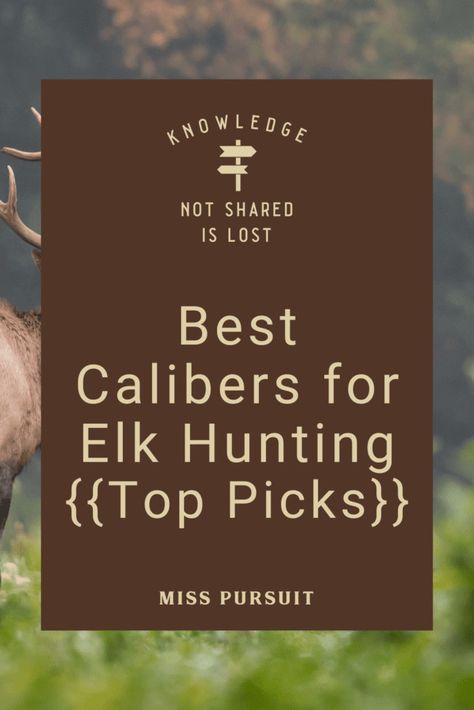 Shed Hunting, Duck Hunting Dogs, Male Deer, Elk Hunting Gear, Deer Hunting Tips, Duck Hunting Gear, Deer Hunting Gear, Uses For Coffee Grounds, Elk Antlers