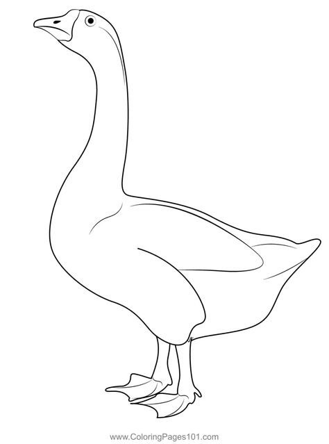 Goose 1 Coloring Page for Kids - Free Swans and Geese Printable Coloring Pages Online for Kids - ColoringPages101.com | Coloring Pages for Kids Ryan Sullivan, Goose Drawing, Christmas Goose, Hardanger Embroidery, Coloring Pages Printable, Page Ideas, Outline Drawings, Animal Coloring Pages, Swans