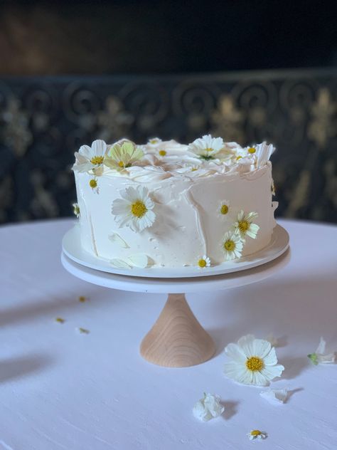 From simple and elegant to bold and beautiful, our cakes are perfect for your modern wedding! 🎂✨ Small Textured Wedding Cake, Dads 60th Birthday Cake, 10 Inch Round Wedding Cake, Modern Simple Wedding Cake, Simple Summer Wedding Cake, Dainty Wedding Cake, Simple Wedding Cake Flowers, Wedding Cakes Simple Elegant Romantic, Small Wedding Cakes Simple