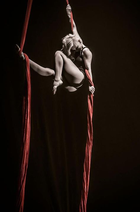 Vicky Aisha Blackthorn Silk Dancing, Aerial Fitness, Aerial Acrobatics, Aerial Dance, Yoga Iyengar, Aerial Arts, Aerial Hoop, 사진 촬영 포즈, Circus Art