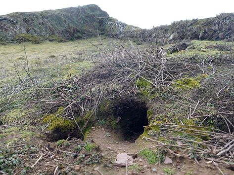 Burrowing Bunnies in Wales Unearth Trove of Prehistoric Artifacts | Smart News | Smithsonian Magazine Norse Names, Stone Age Tools, Uninhabited Island, Pembrokeshire Coast, Wood Island, Archaeology News, Dug Up, Archaeological Discoveries, Archaeological Finds