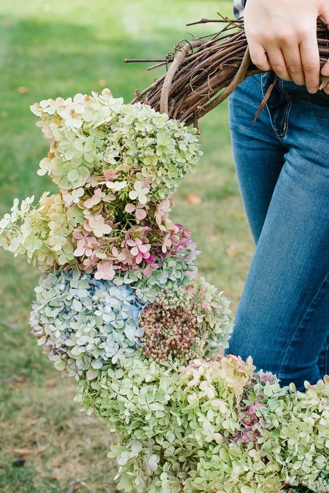 Learn how simple it is to make this 10 minute homemade hydrangea wreath for fall! Hydrangea Pruning, Dried Hydrangea Wreath, Diy Hydrangea, Hydrangea Wreath Diy, Hydrangea Garland, Fall Hydrangea Wreath, Wreath For Fall, Types Of Hydrangeas, Dried Flowers Diy