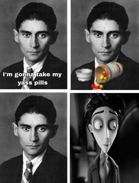 Kafka Aesthetic, Ya Aesthetic, Literary Humor, Classical Literature, Literature Humor, Franz Kafka, Albert Camus, Book Memes, Oui Oui