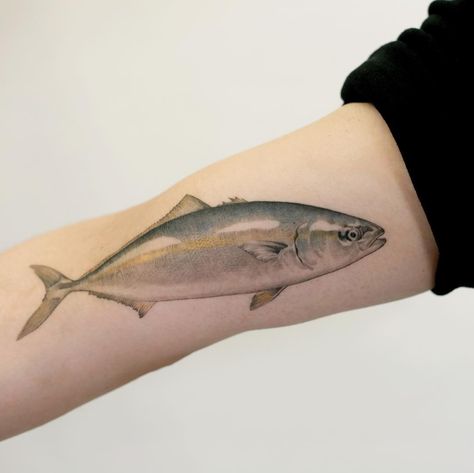 Tattooist_Doy on Instagram: “: Healed one month . #healed #tattoo #yellowtail #tattooistdoy #대방어 #방어” Healed Tattoo, Fish Tattoo, One Month, Fish Tattoos, Watercolor Tattoo, Dance Shoes, Slippers, Sport Shoes, Fish