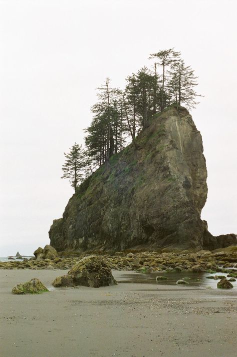 Breathtaking views await at Ruby Beach, Washington! 🌊 Discover pristine shores, striking sea stacks, and mesmerizing sunsets. Click the link to explore more! #RubyBeach #WashingtonWonders Ruby Beach Washington, Western Washington, Nature Wallpapers, Interior Design Art, Nature Wallpaper, Breathtaking Views, Click The Link, Design Art, Washington