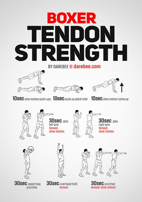 Boxer Tendon Strength Workout Boxer Diet, Boxing Workout Plan, Boxer Workout, Calisthenics Workout Routine, Boxing Workout Routine, Workout Fitness Motivation, Home Boxing Workout, Boxer Training, Fighter Workout