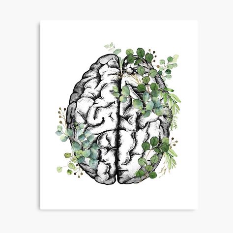 Get my art printed on awesome products. Support me at Redbubble #RBandME: https://www.redbubble.com/i/canvas-print/Human-brain-with-green-leaver-eucaliptus-watercolor-style-by-Collagedream/68646605.5Y5V7?asc=u Brain Watercolor Paintings, Psychology Decoration Ideas, Brain Flower Art, Aesthetic Brain Art, Green Flower Drawing, Anatomical Artwork, Green Drawing Ideas, Human Brain Art, Brain With Flowers