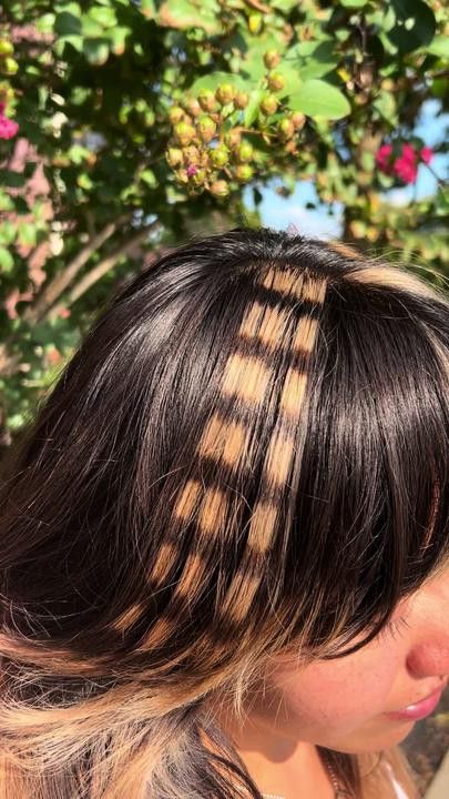 Dyed Hair With Streaks, Y2k Hair Extensions, Brown Hair With Platinum Streaks, Emo Hair Stripes, Black And Brown Hair Ideas, One Stripe Hair Color, Skunk Highlights On Light Brown Hair, Calico Racoon Tail Hair, Black And Brown Short Hair