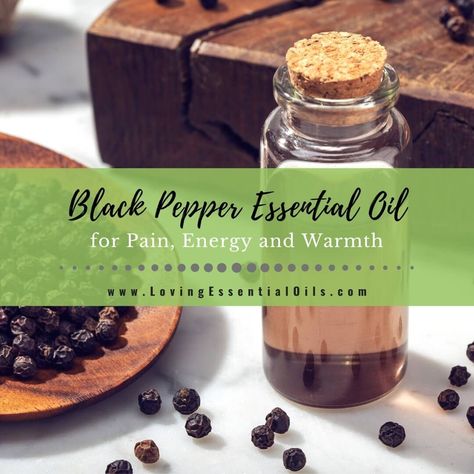 Black Pepper Essential Oil for Pain, Energy and Warmth by Loving Essential Oils Black Pepper Essential Oil Uses, Black Pepper Plant, Black Pepper Essential Oil, Black Pepper Oil, Pepper Plant, List Of Essential Oils, Essential Oils For Pain, Essential Oil Carrier Oils, Aromatherapy Benefits