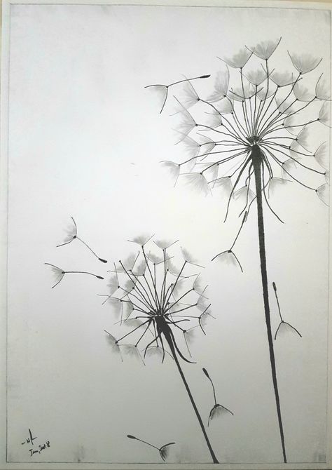 flower dandelion pencil sketch Dandilines Flower Drawing, Dandelion Sketch, Learn To Sketch, Artwork Inspiration, Anime Wall, Pencil Sketches, Anime Wall Art, Urban Sketching, Decor Idea