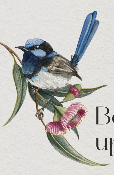 Blue Fairy Wren Tattoo, Blue Wren Drawing, Blue Wren Tattoo, Wren Tattoo, Blue Wren, Bird Watercolor Paintings, Plant Tattoo, Drawing Journal, Blue Fairy