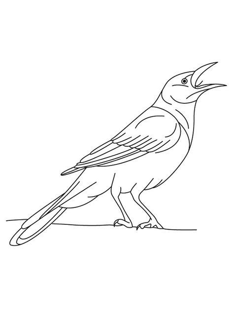 Crow Coloring Pages - Best Coloring Pages For Kids Crow Coloring Page, Crow Drawing, Birds Coloring Pages, Hanuman Jayanthi, Crow Images, Crows Drawing, Animal Tarot, American Crow, Outline Images