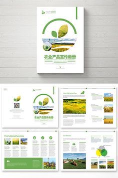 Fresh atmospheric agricultural product brochure#pikbest#templates Agriculture Brochure, Brochure Background, Brochures Design, Agriculture Design, Brochure Format, Concept Web, Product Brochure, Corporate Brochure Design, Power Points