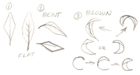 How To Draw Trees, Draw Leaves, Wind Tattoo, Draw Trees, Wind Drawing, Leaves Sketch, Shading Drawing, How To Draw Anime, Wind Blowing