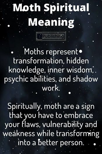 Mosquito Spiritual Meaning, Bugs Spiritual Meaning, Insect Meaning Spiritual, Moth Spirit Animal, Brown Moth Spiritual Meaning, White Moth Meaning, Moth Symbolism Meaning, Moth Spiritual Meaning, Animals Meaning