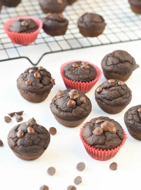 chocolate spinach muffins chocolate banana spinach muffins Chocolate Spinach Muffins, Muffins No Eggs, Banana Popsicle Recipes, Banana Breakfast Muffins, Kid Muffins, Conscious Plant Kitchen, Healthy Chocolate Muffins, Vegan Banana Muffins, Spinach Muffins