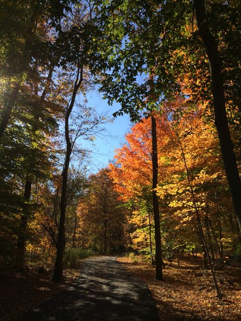 fall color northeast Northeast Aesthetic, Fall Color, 2024 Vision, Small Town, Time Of The Year, Small Towns, East Coast, Fall Colors, Philadelphia