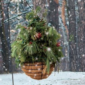 Shepherd's Hook Winter Makeover - Fleet Farm Garden Center Shepherd Hook Christmas Ideas, Winter Hanging Baskets, Christmas Hanging Baskets, Summer Outdoor Decor, Officially Retired, Fleet Farm, Winter Outdoors, Winter Decorating, Outdoor Trees