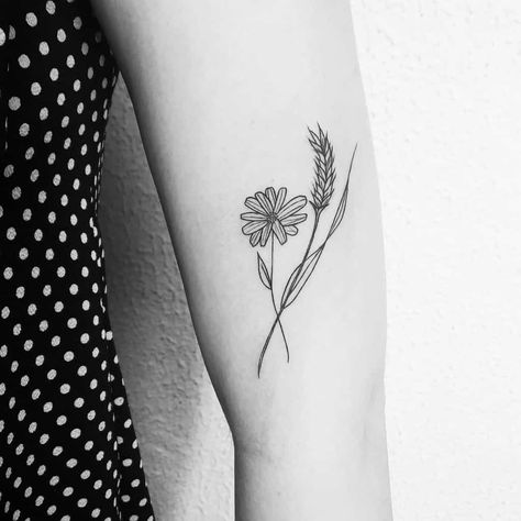 Bicep tattoo black and grey fine line delicate daisy and wheat Wheat And Flower Tattoo, Daisy With Stem Tattoo, Wildflower And Barley Tattoo, Transvaal Daisy Tattoo, Line Art Daisy Tattoo, Simplistic Daisy Tattoo, Barley Tattoo, Tattoos Delicate, Pastry Tattoo