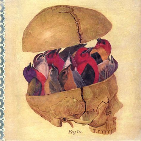 Brain Painting, Brain Tattoo, Bird Brain, Love Collage, Brain Art, Collage Inspiration, Medical Art, Original Collage, Mixed Media Art Journaling