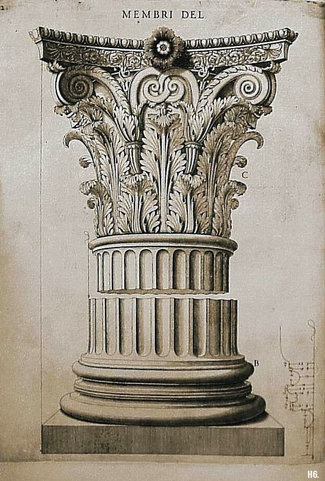 Corinthian Architecture, Corinthian Order, Corinthian Columns, Corinthian Capital, Architecture Antique, Architectural Orders, Corinthian Column, Ornament Drawing, Rome Antique