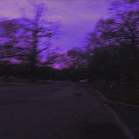 Purple Sky, The Kids, The Sky, Trees, Purple