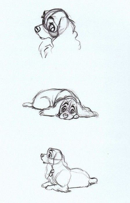 scurviesdisneyblog:  Lady Concept Sketches Sketches Disney Characters, Drawing Sketches Disney, Sketches Disney, Concept Art Disney, Drawing Hands, Wallpaper Disney, Animation Sketches, 강아지 그림, Disney Sketches