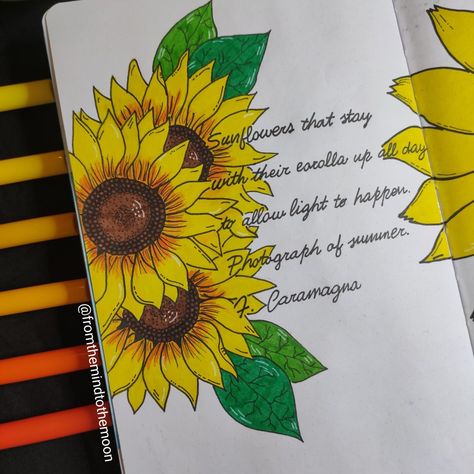 Sunflowers drawn with watercolor markers! I use Crayola supertips markers and a bullet journal from scribble and dot. Sunflower Bullet Journal, Crayola Supertips, Watercolor Markers, Bujo Doodles, Sunflower Drawing, Journal Doodles, New Theme, Bullet Journaling, Positive Life