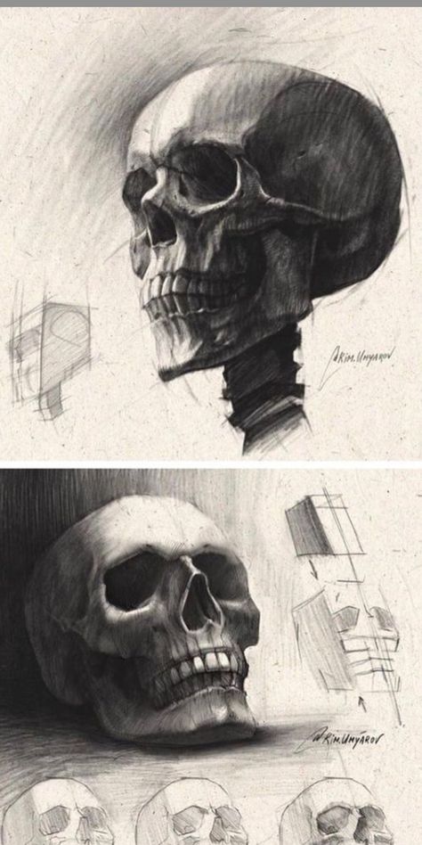 Skull sketch Anatomy Skeleton Study, Human Skull Drawing, Skull Drawing Sketches, Sketch Anatomy, Skull Anatomy, Skull Sketch, Skulls Drawing, Human Skeleton, Academic Art