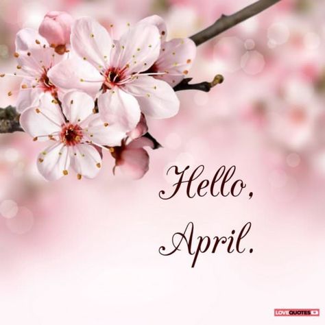 Hello, April. Bonjour Mars, April Images, Neuer Monat, April Quotes, Good Morning Sunday Images, Seasons Months, Hello April, Hello March, Days And Months