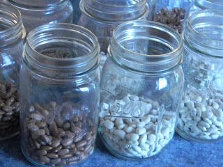 Canning Dried Beans, Things To Can, Canned Veggies, Canning Beans, Serving The Lord, Cooking Spinach, Pressure Canning Recipes, Canning Ideas, Home Canning Recipes