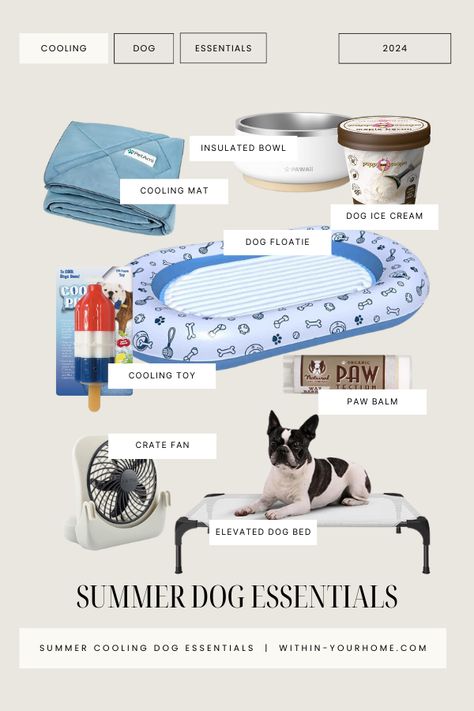 11 Items That Will Keep Your Dog Cool This Summer Big Dog Essentials, Dog Mom Essentials, Dog Teaching, Dog Room Design, Dog Life Hacks, Dog Friendly Backyard, Puppy Essentials, Living In Texas, Dogs Toys