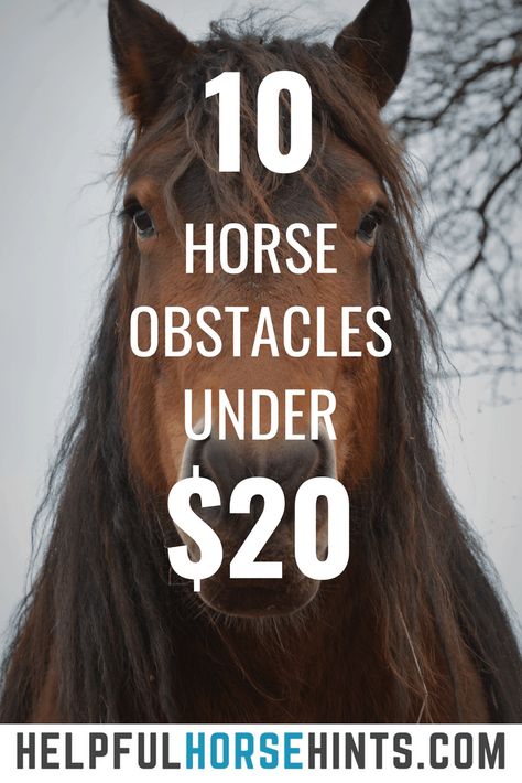 Horse Obstacle Course Ideas, Horse Obstacles, Riding Exercises, Horse Jumps, Diy Horse, Horse Exercises, Horse Info, Horse Ideas, Equestrian Helmet