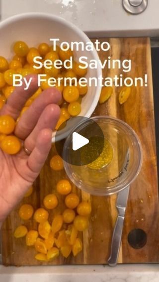 Seed Harvesting, Rotting Fruit, I Love Science, Vege Garden, Homesteading Tips, Fenced Vegetable Garden, Sowing Seeds, Homestead Life, Seed Saving