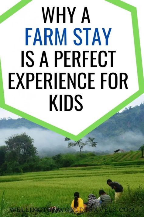 9 Reasons a Farm Stay Is A Perfect Experience for Kids – Wellington World Travels Farm Stay Design, Farm Tourism, Farm Vacation, Pack Up And Go, Farm School, Farm Visit, Farm Layout, Farm Business, Farm Projects