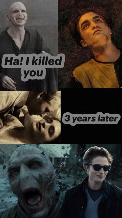 Harry Potter twilight saga memes Twilight Harry Potter, Harry Potter Twilight, Cedric Diggory, Harry Potter Memes, Twilight Saga, Harry Potter, Memes