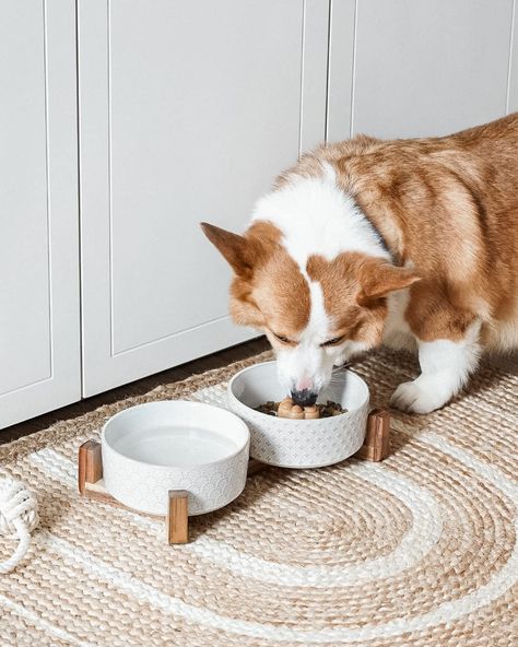 Dog Bowl Area, Dog Dishes, Bowls Ceramic, Ceramic Dog Bowl, Dog Food Bowls, Ceramic Dog, Food Mat, Stoneware Ceramics, Dog Bowl