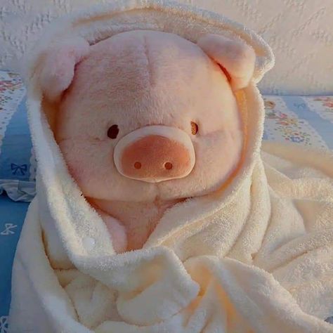 Lulu The Piggy, Cartoon Bread, Pig Plushie, Kawaii Pig, Cute Piggies, Soft Stuffed Animals, Kawaii Plushies, Cute Pigs, Cute Stuffed Animals